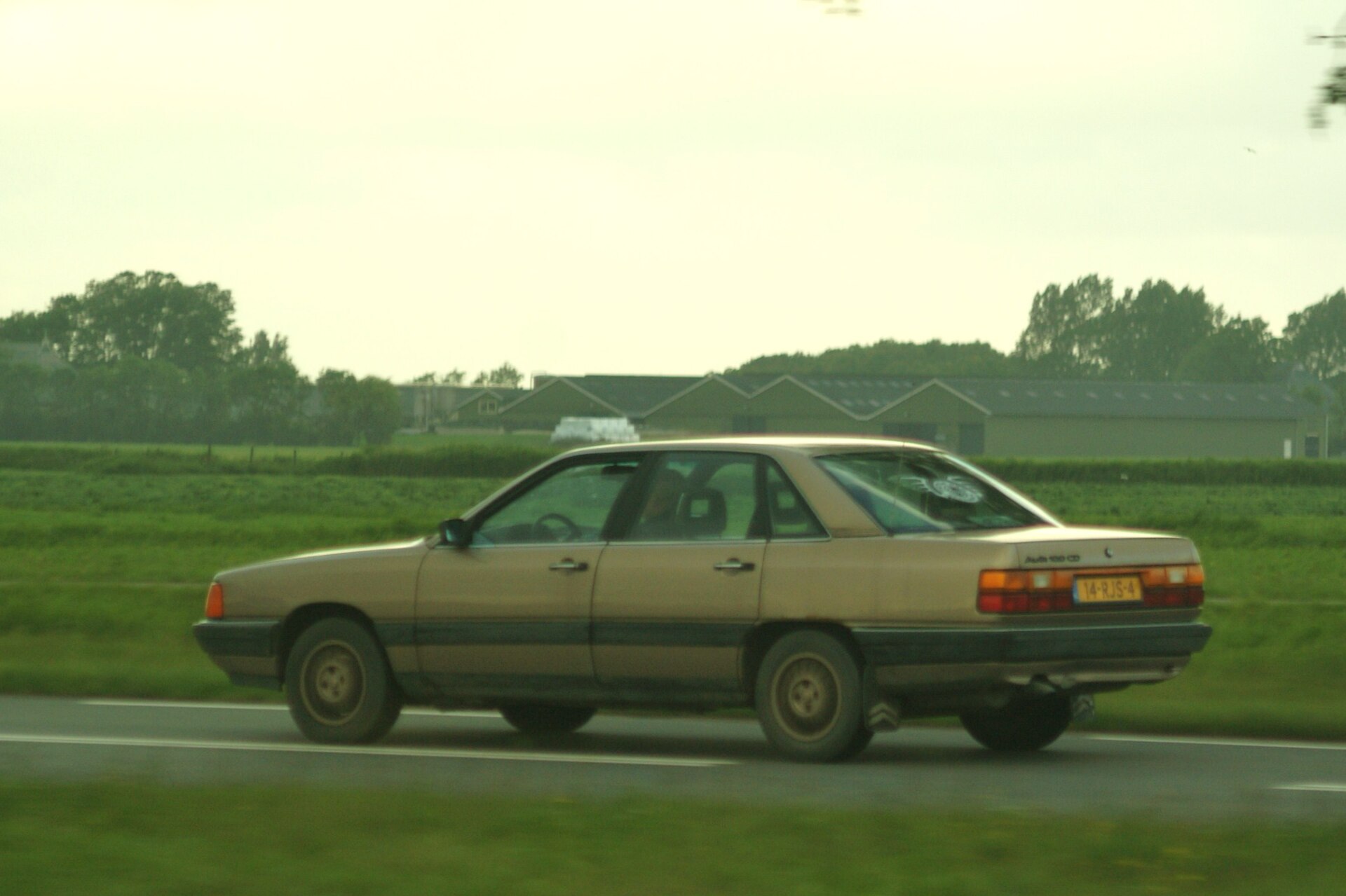 Audi 100 der Baureihe C3 von 1983 in der Seitenansicht
