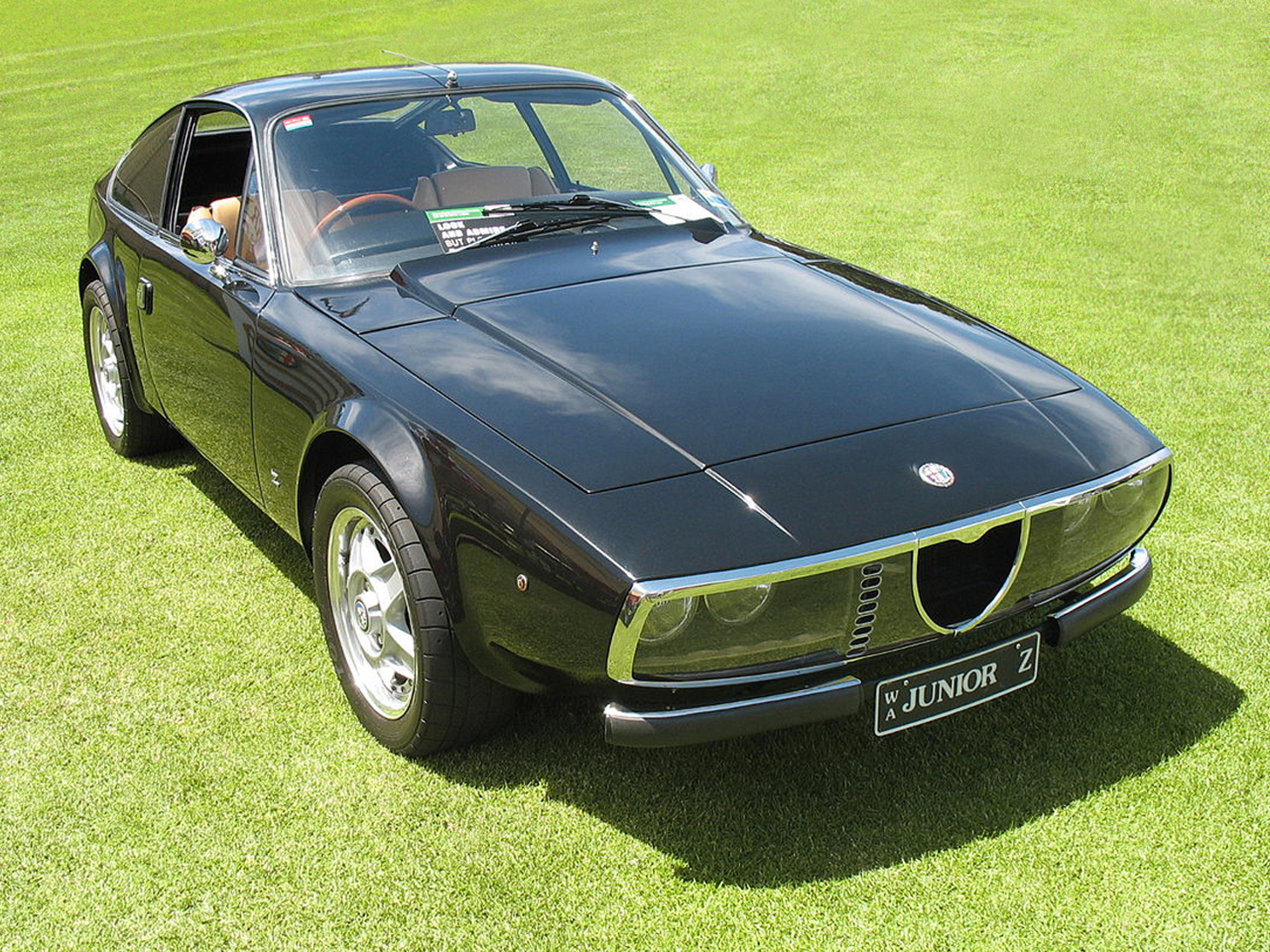 Schwarzer Alfa Romeo Junior Zagato in Dreiviertelansicht auf einer Wiese