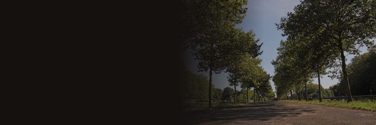 Die 1932 eröffnete Autobahn Köln–Bonn, heute Teil der A 555