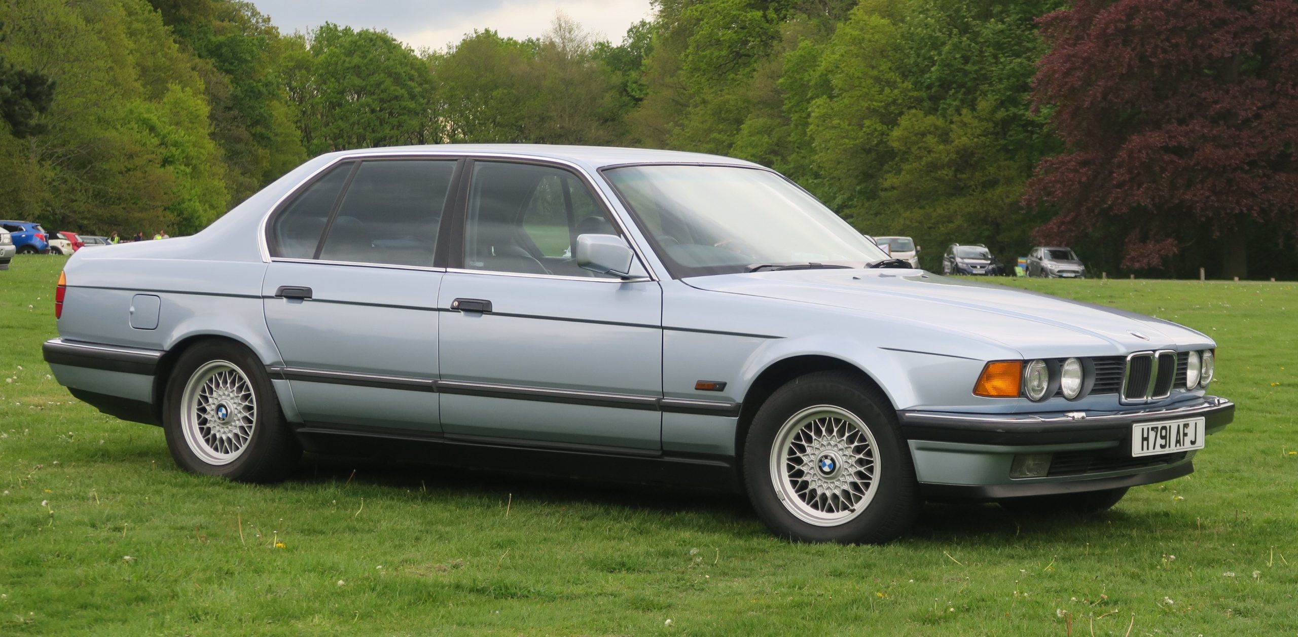 Silberner BMW 730i der Baureihe E32 in reiner Seitenansicht auf einer Wiese