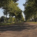 Die Alte Autobahn Koeln Bonn Heute