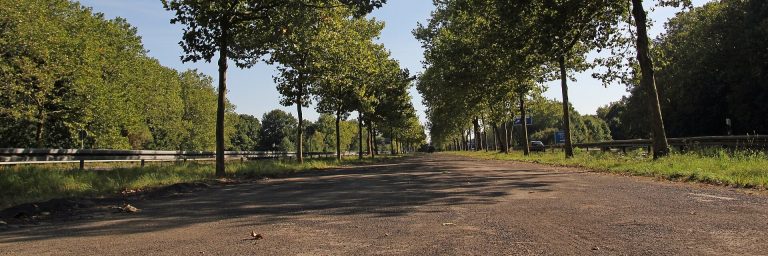 Die Alte Autobahn Koeln Bonn Heute