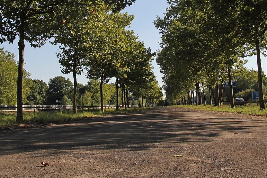 Die Alte Autobahn Koeln Bonn Heute