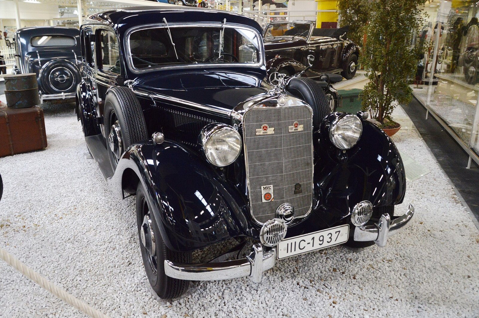 Mercedes-Benz 260 D von 1936 in Seitenansicht
